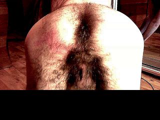 hairy bearded man show ass and dick doggystile on stream